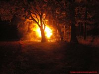 Brand Bienenwagen im Waldstück bei Wiesa